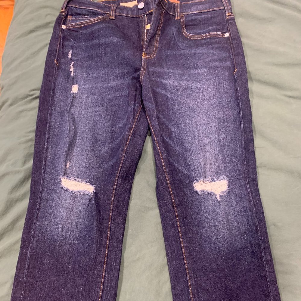 Pilcro Anthropology Jeans